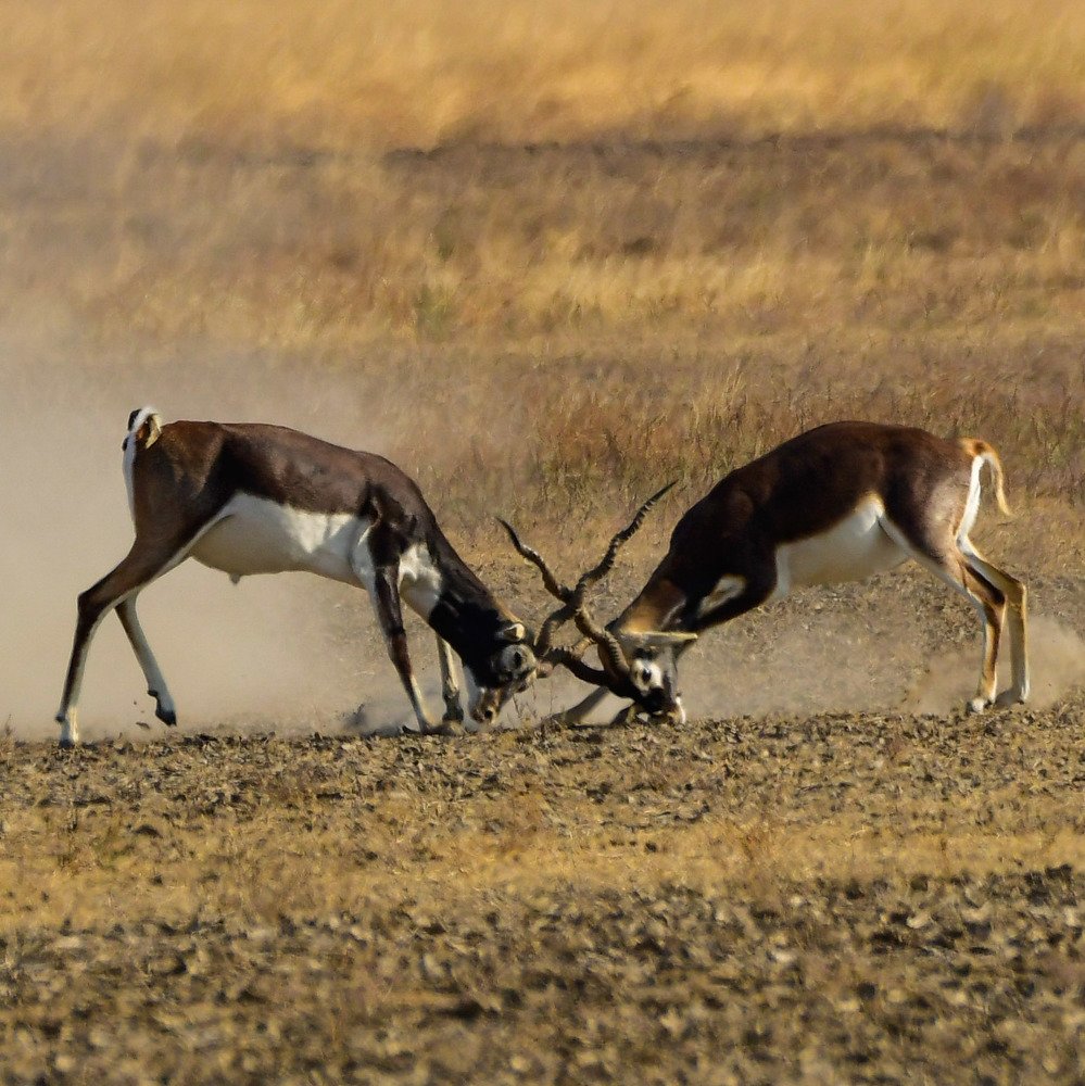 Photograph by Sailendra Samaddar
