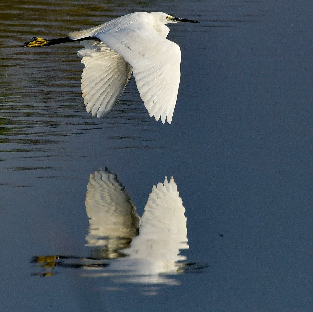 Photograph by Sailendra Samaddar