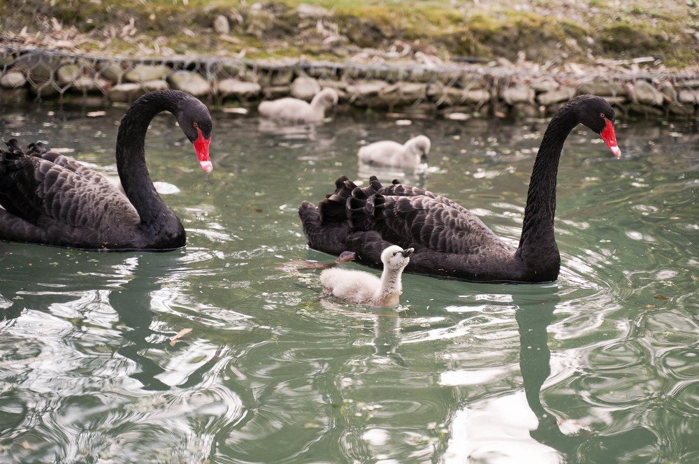 Photograph by Павел