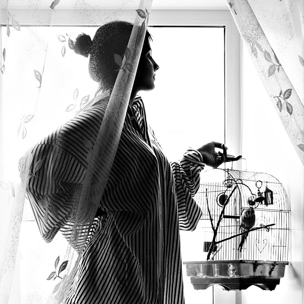 Фотография автора Алексей Журбенко