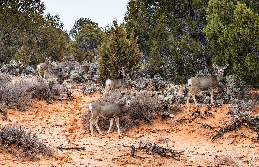 Photograph by Olga Serebryannaya