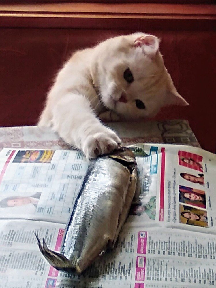 Photograph by Светлана Замятина