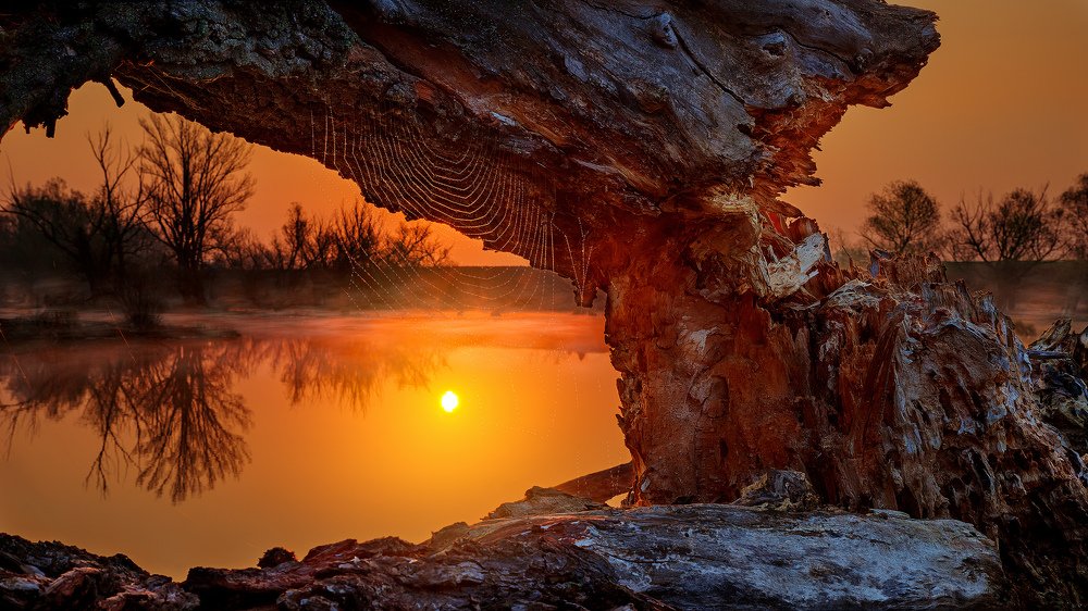 Photograph by Martin Kucera