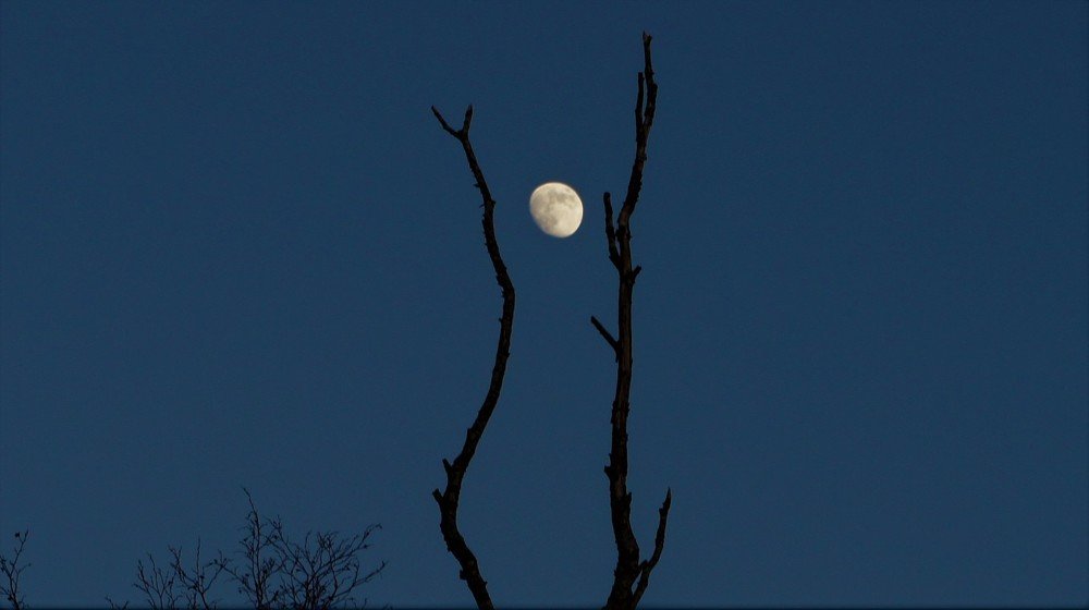 В Погоне За Прекрасным...