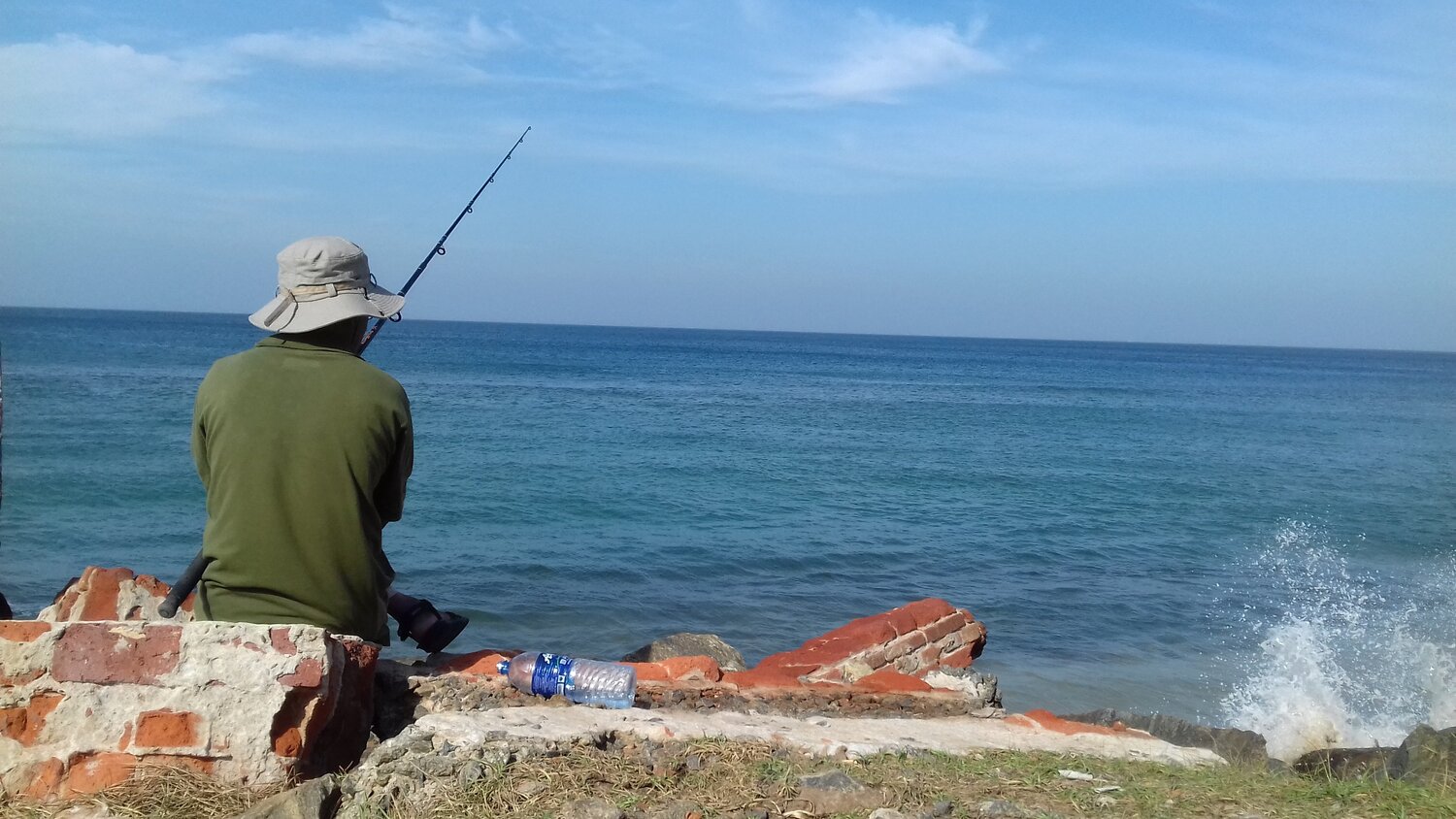 Photo #4606511
