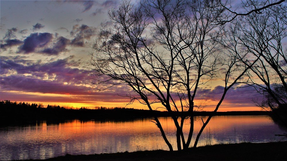 Photograph by Екатерина Апрелева