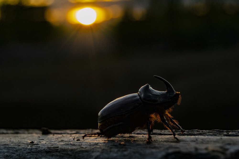 Photograph by Андрей Михайлов