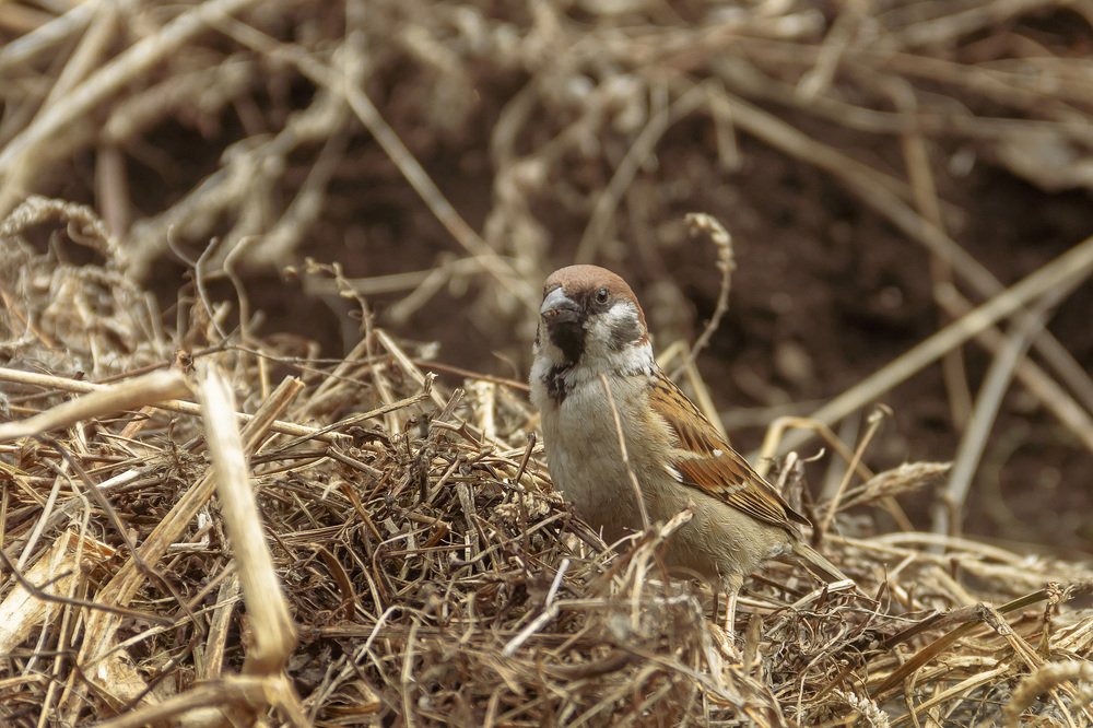 Photograph by Александр Кузнецов