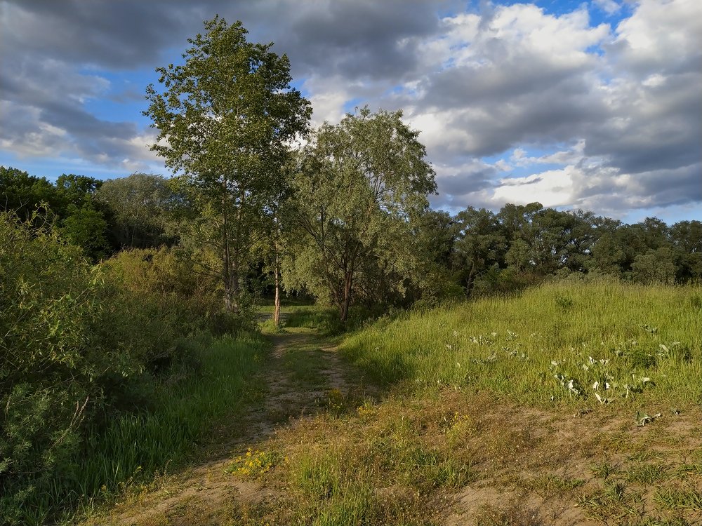 Photograph by Юрий Москалев