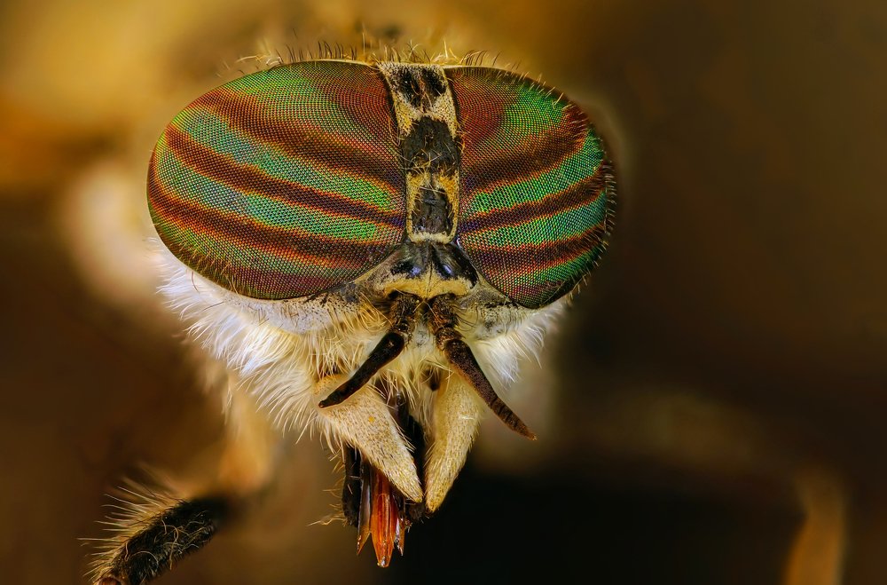 Photograph by Сергей Прокофьев