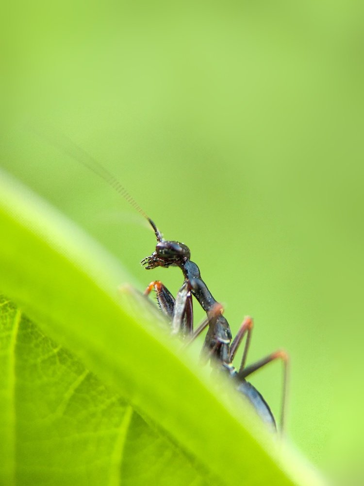 Photograph by Faiyal Ahmed