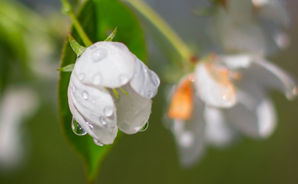 Photograph by Константин Искучеков