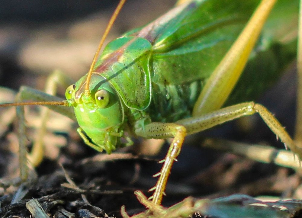 Photograph by Константин Искучеков