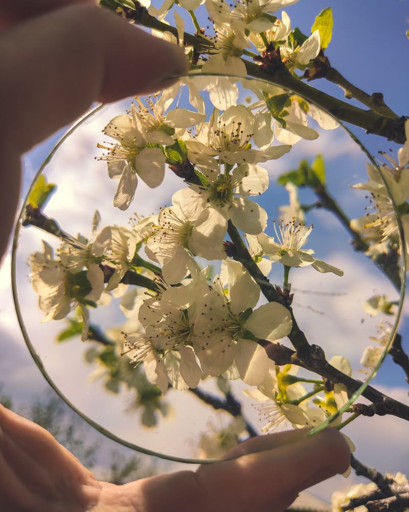 Photograph by Дмитрий Страмцов