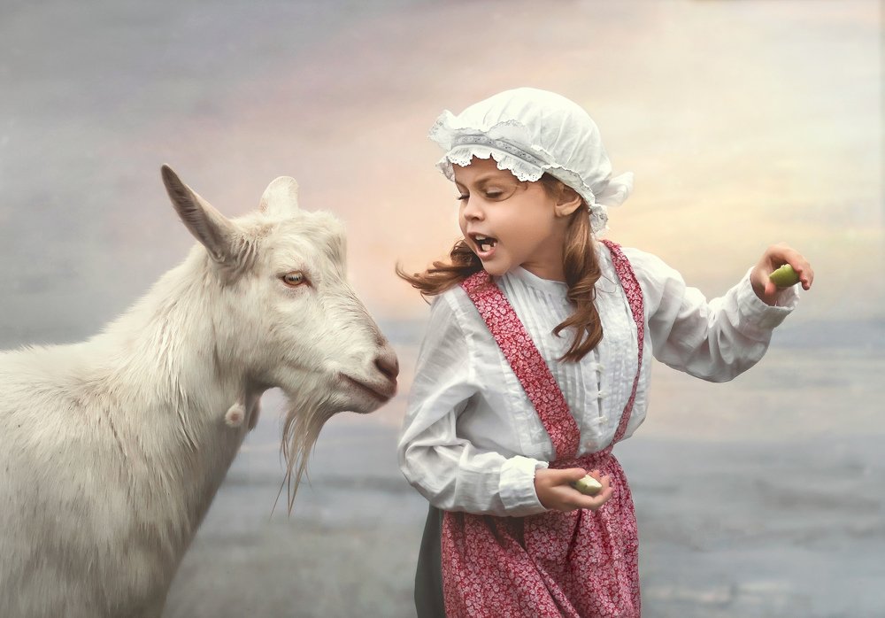 Фермерская история