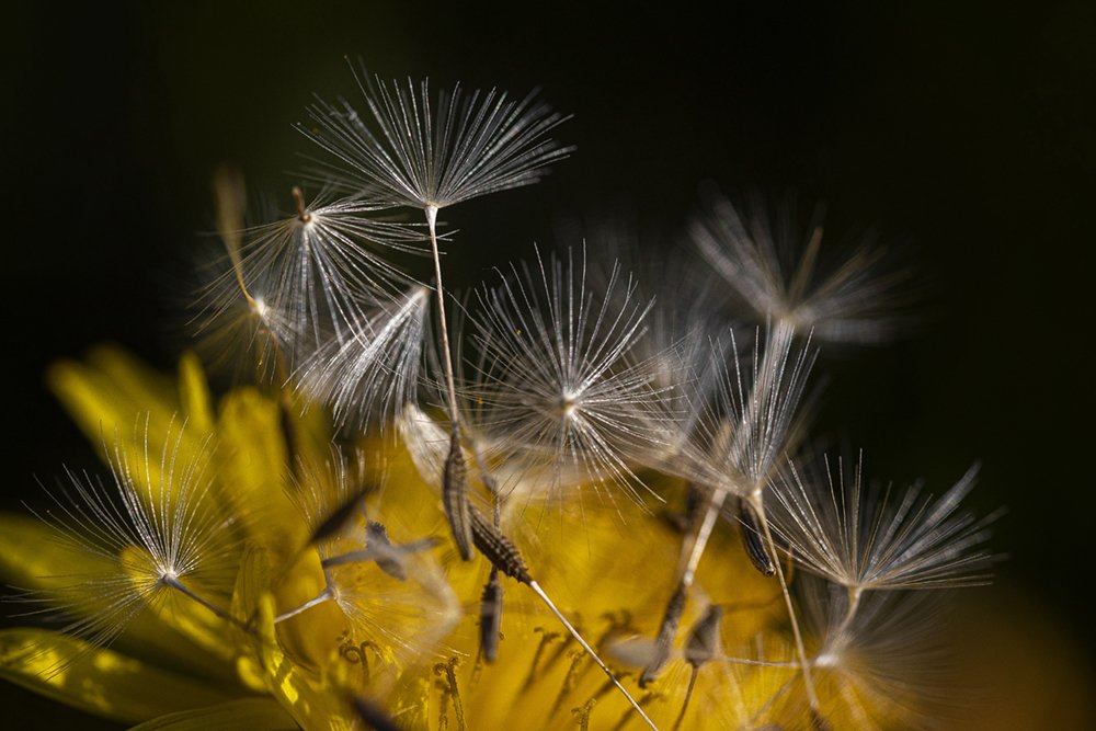 Photograph by Normunds Kaprano