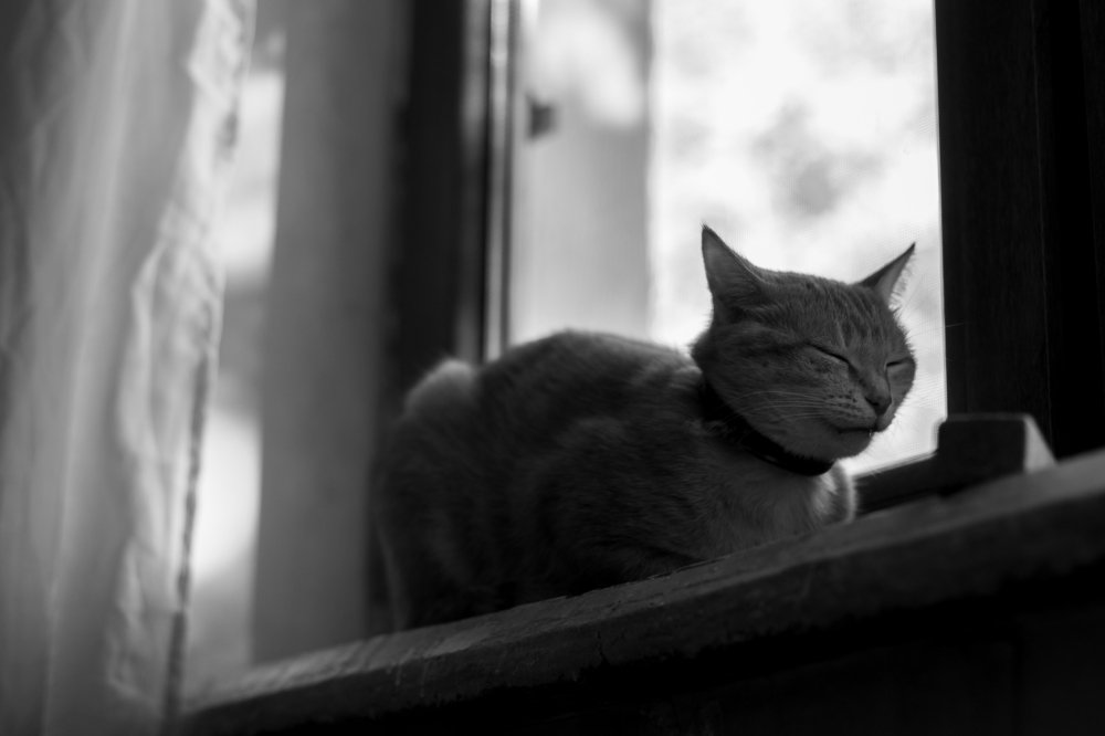 Photograph by Rusudan Khubutiya