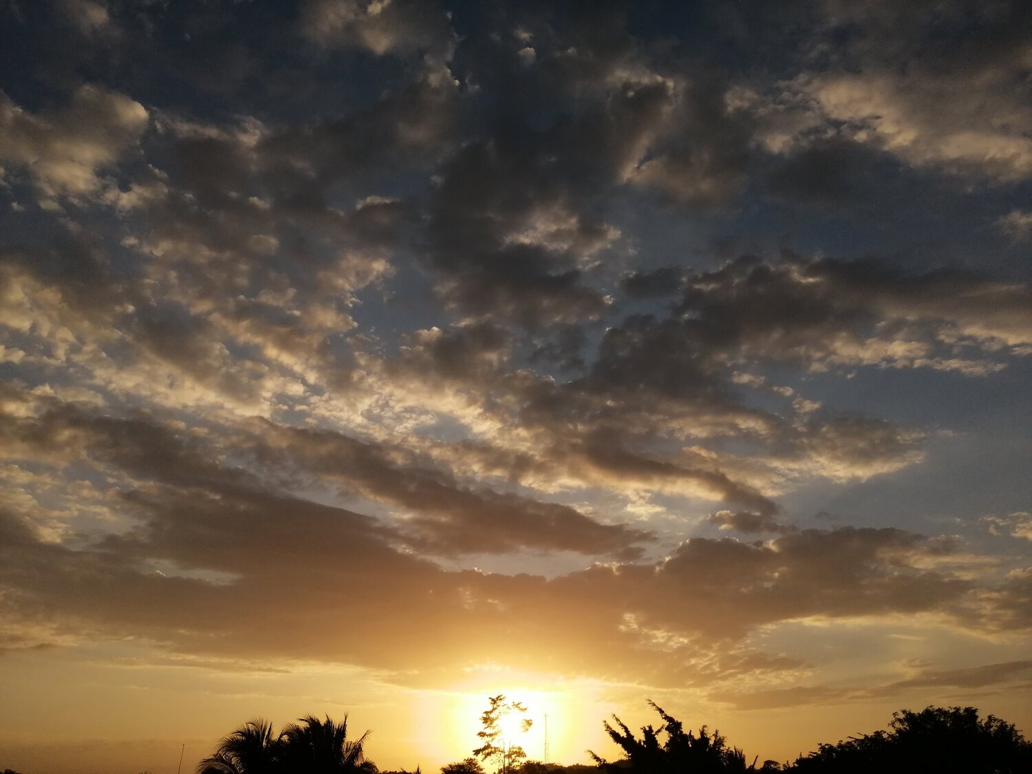 Photo #4607542
