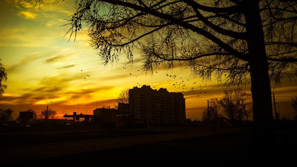 Photograph by Алёна Лысенко