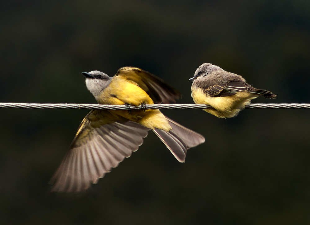 Photograph by Cristian Rativa