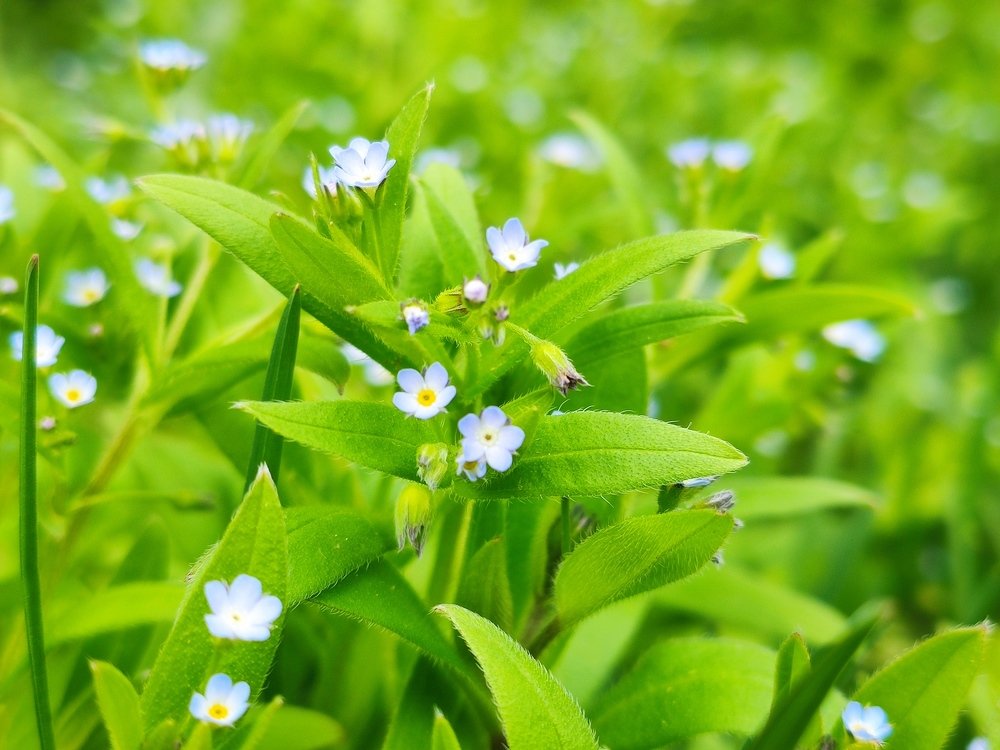 Photograph by Евгений Артемьев