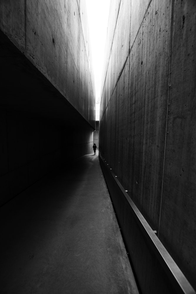 Photograph by nuno andrade