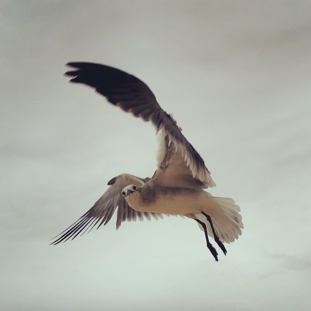 Photograph by Orley Bernal