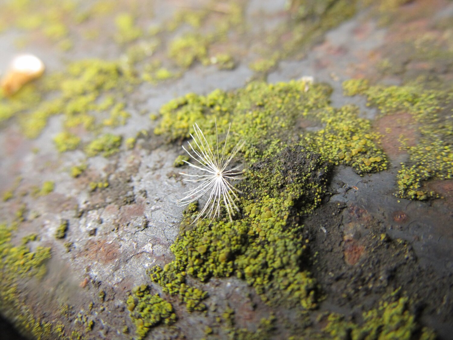 Photo #4607743