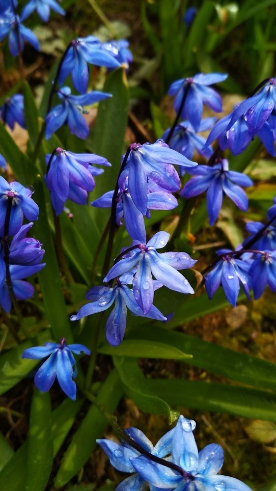 Photograph by Варвара К.