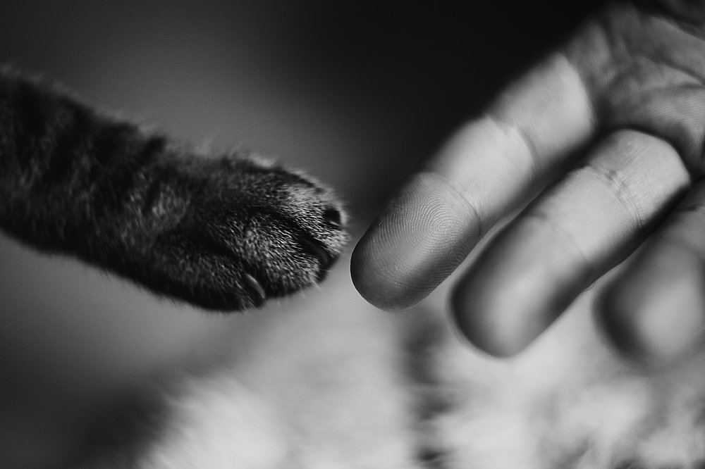 Photograph by Татьяна Белоглазова