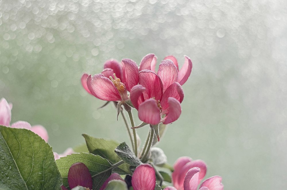 Photograph by Аликина Татьяна