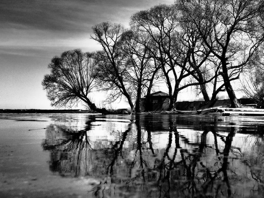 Photograph by Дмитрий Потапов