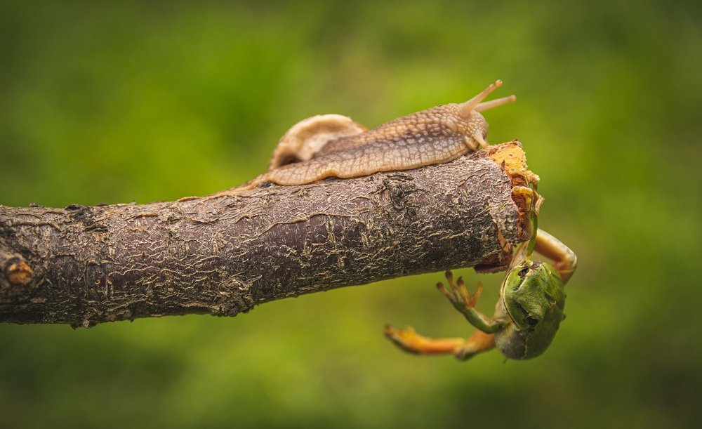 Photograph by Мгер Аршакян