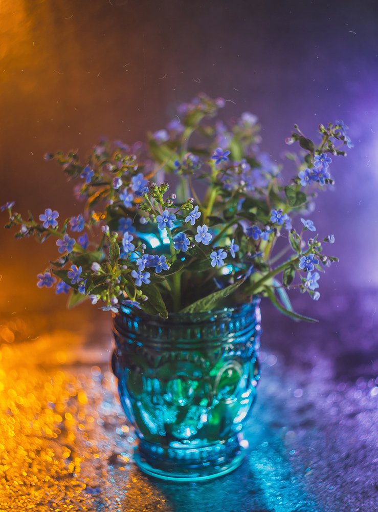 Photograph by Алла Семенова