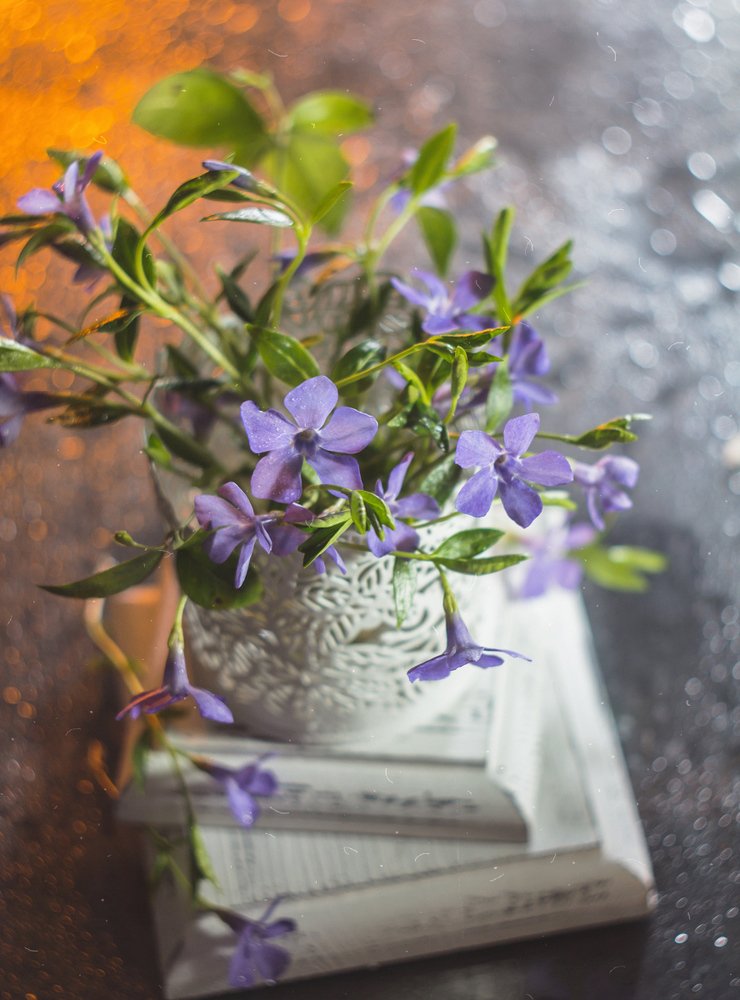 Photograph by Алла Семенова