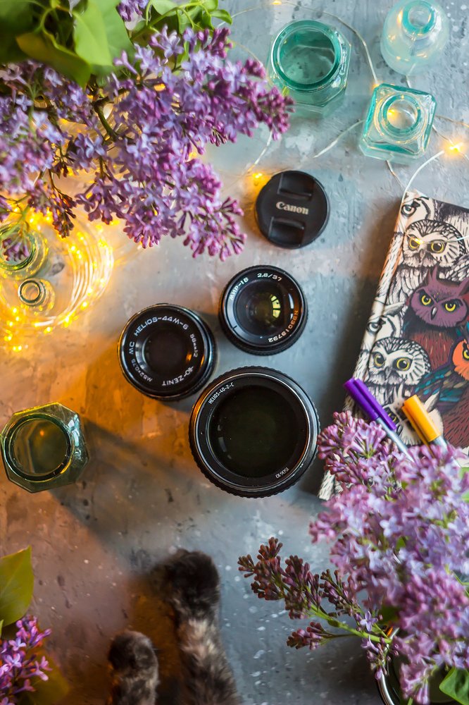 Photograph by Алла Семенова