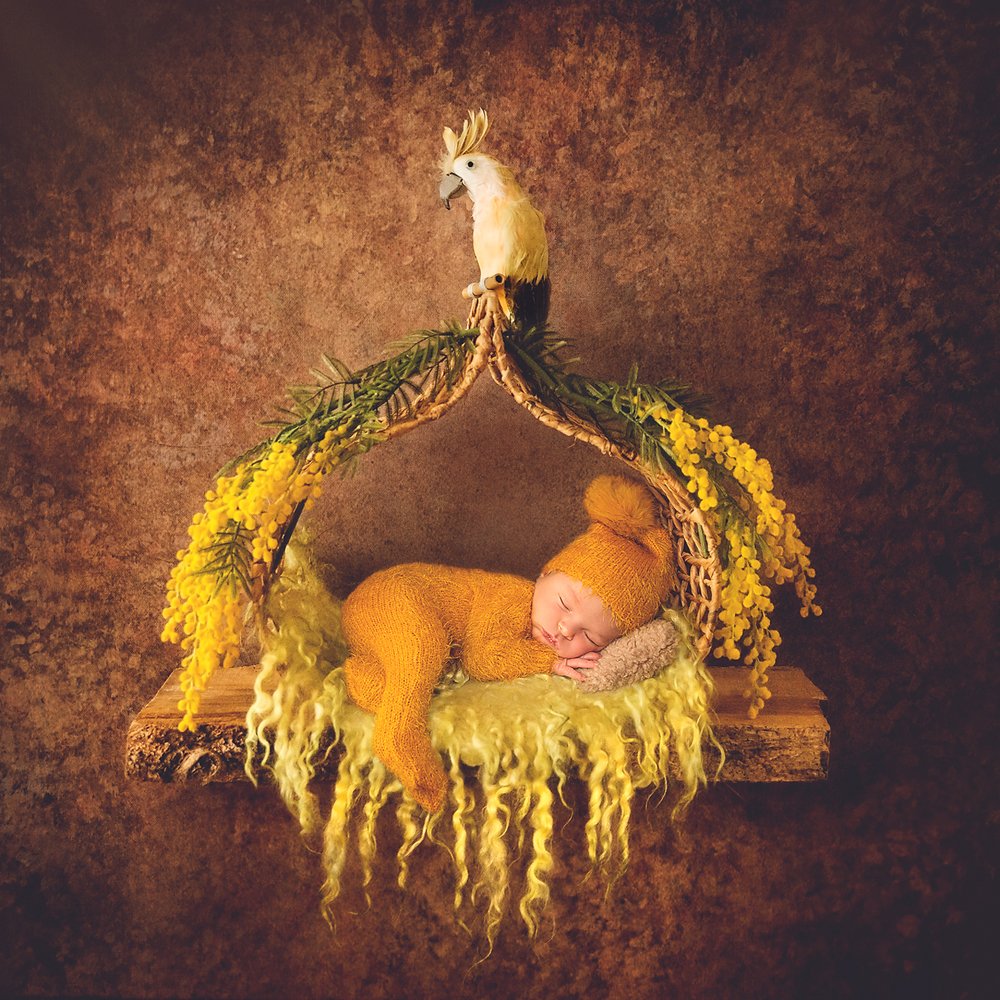 Photograph by EMILIA VILA