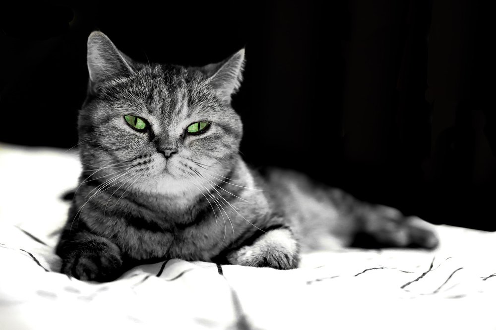 Photograph by Николай Мышляев