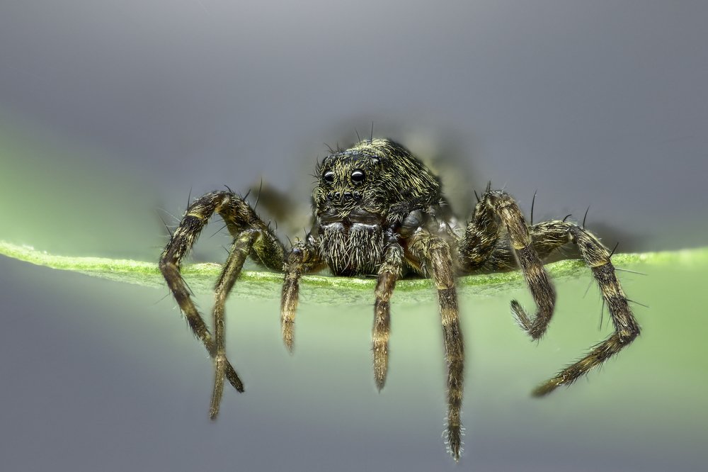 Photograph by Армен Майтесян