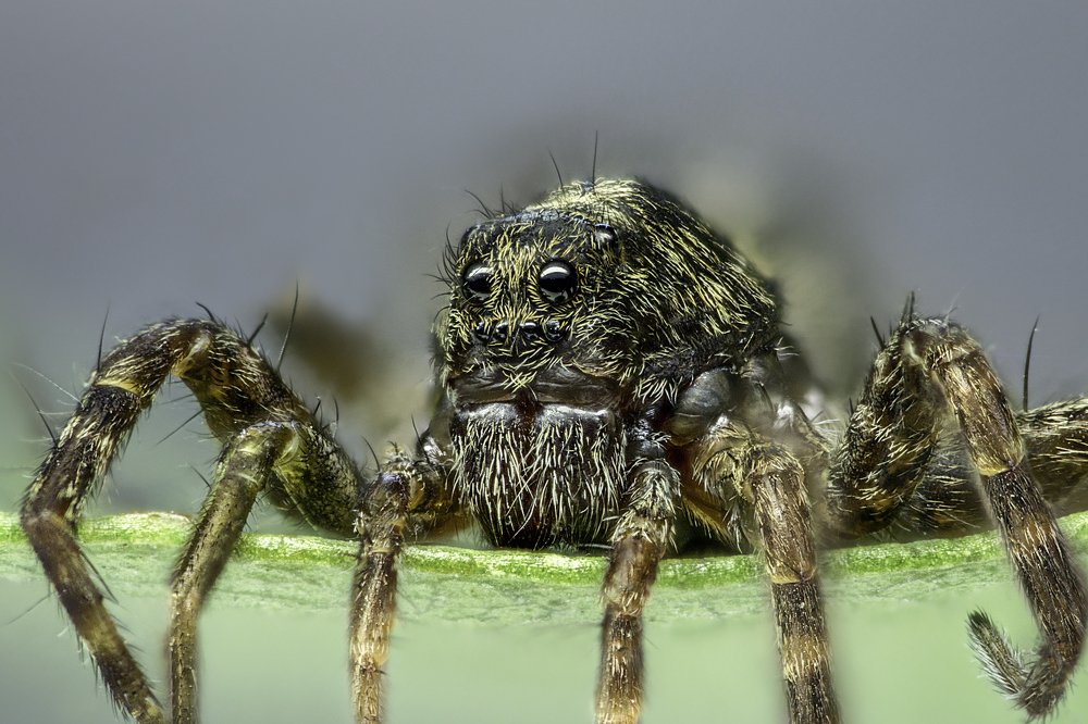 Photograph by Армен Майтесян