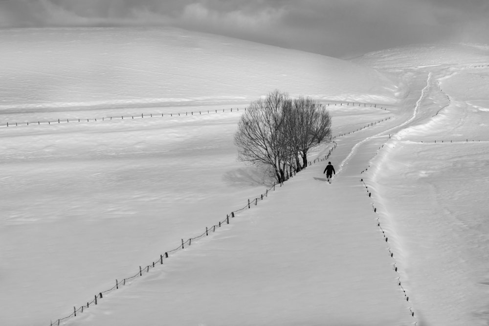 Photograph by Bahir DIBEKOGLU