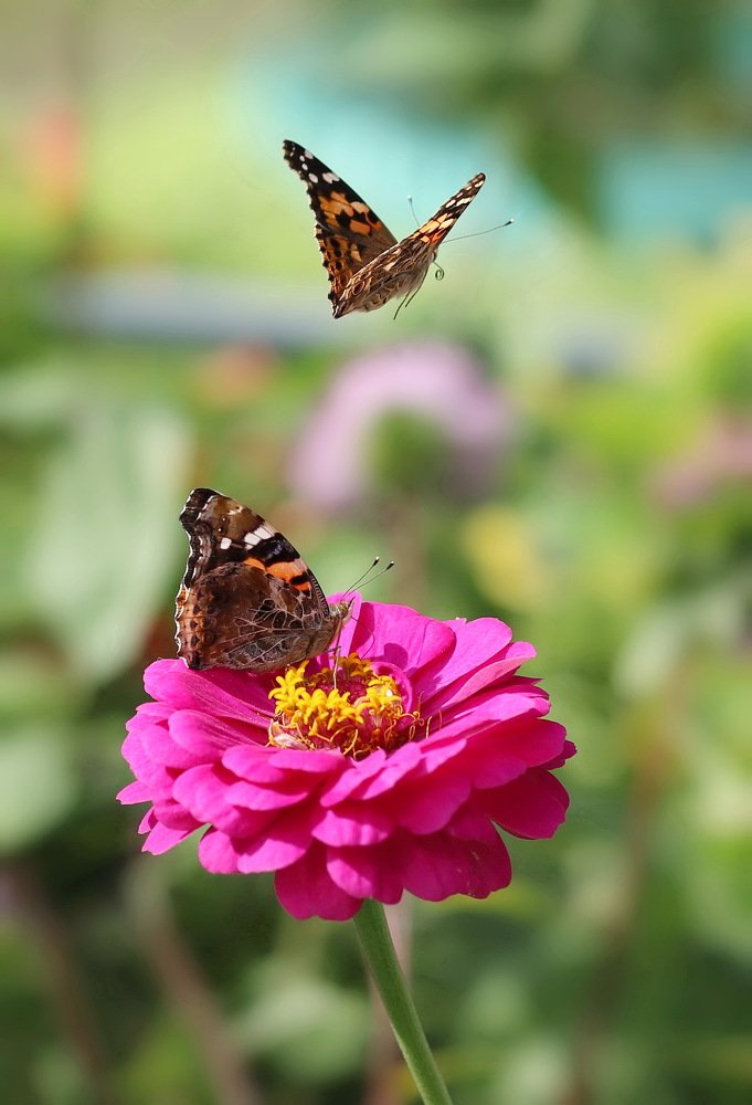 Photograph by Александр Кордюков