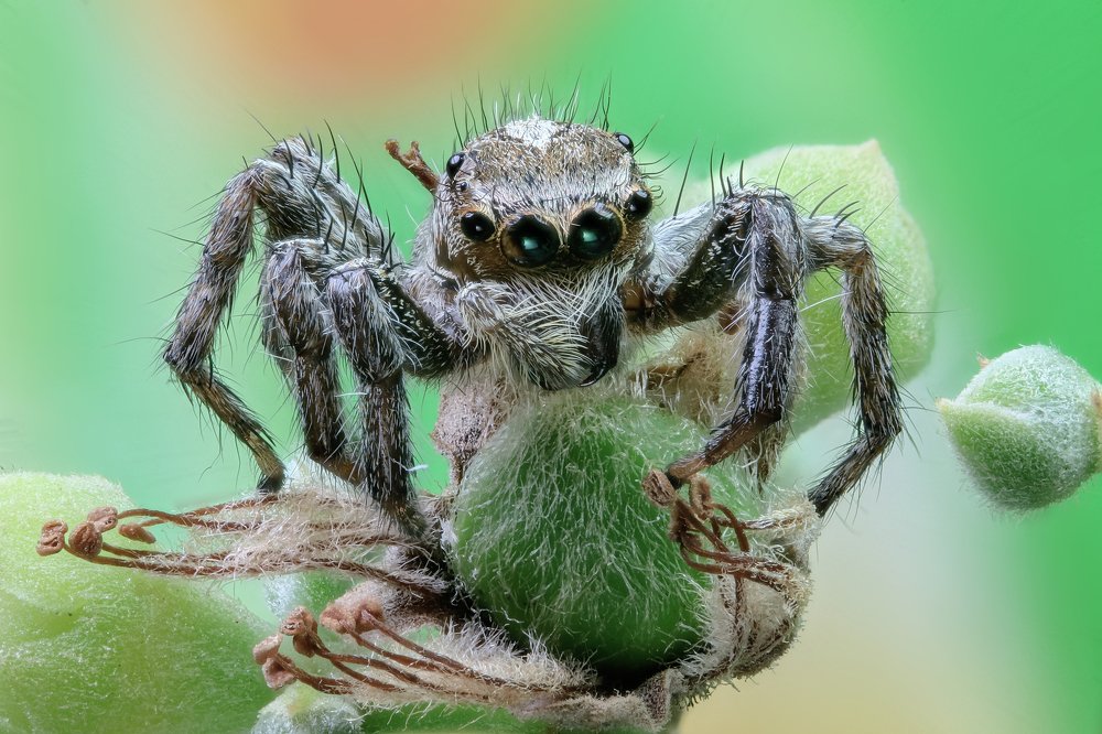 Photograph by Rui Santos