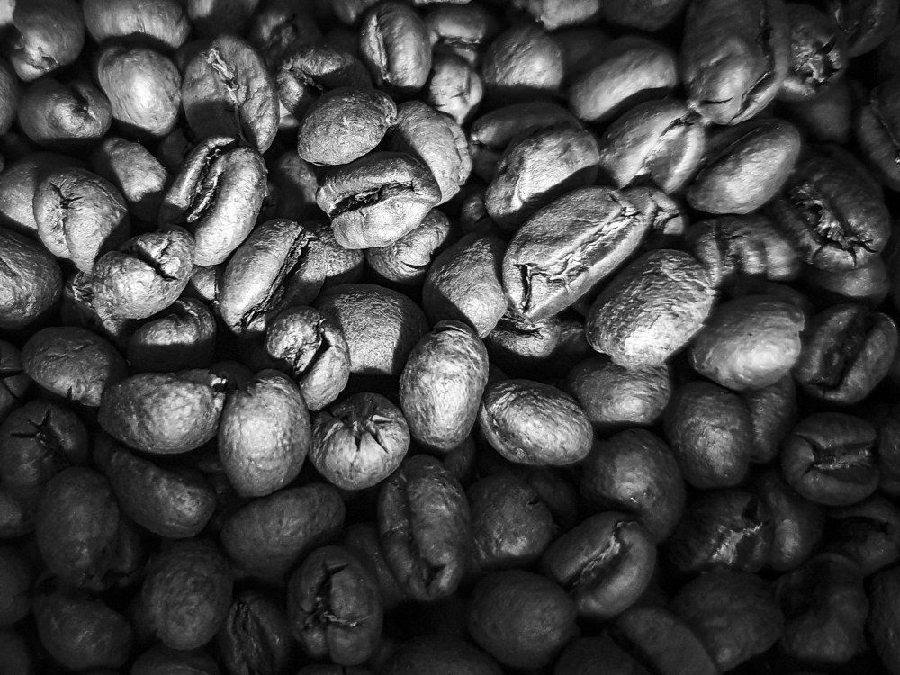 Photograph by Luiz Fernando Cavalheiro