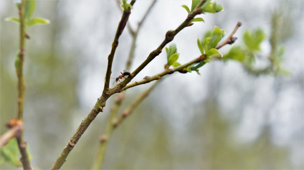 Photograph by Екатерина Апрелева