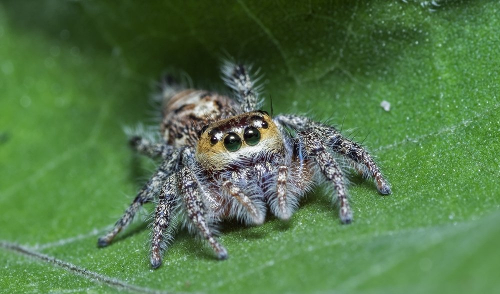 Photograph by Souvick Mukherjee