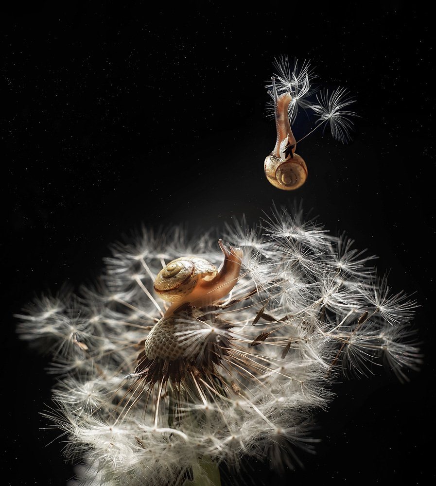 Photograph by Тарасова Ольга