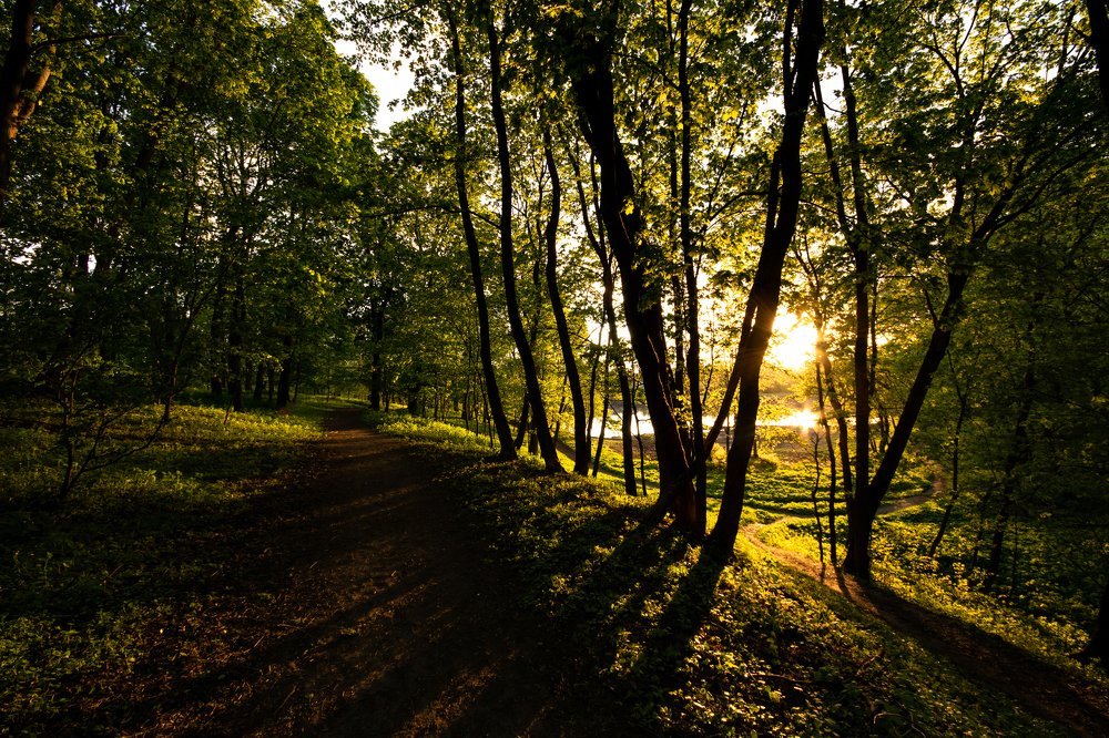 Photograph by Александр Клочков