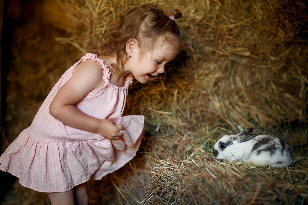 Photograph by Зубарева Мария