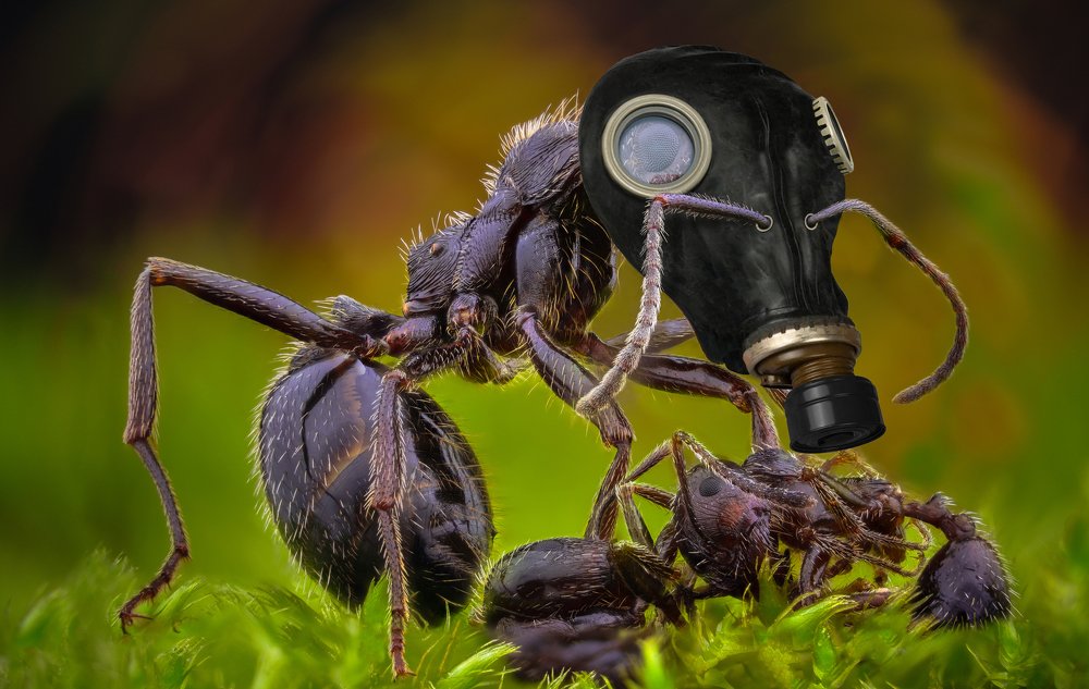 Photograph by Tsvetan Ganev